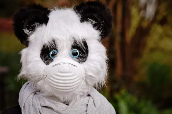 Bitcoza Casino Suporte